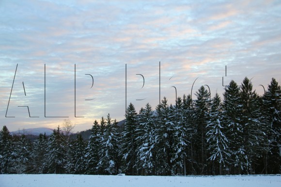 snow pines x